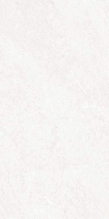 Dhara White Matte 12 x 24